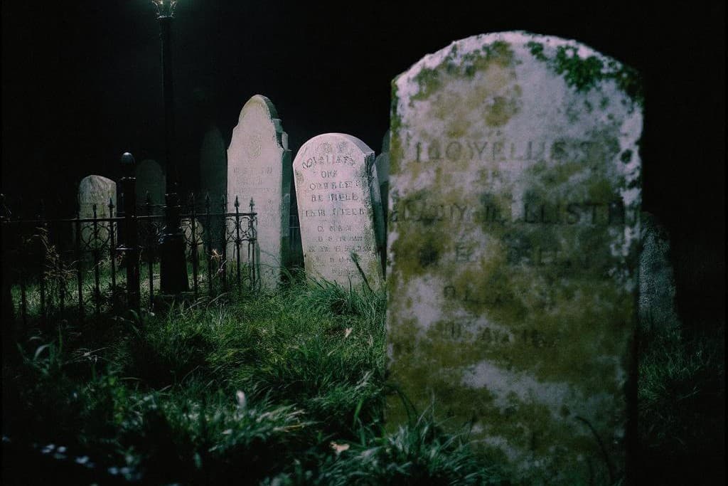Le cimetière des loyalistes — illustration