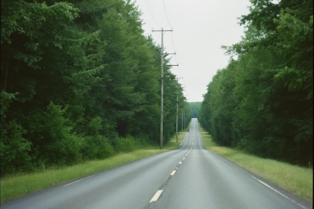 La colline magnétique de Moncton — illustration